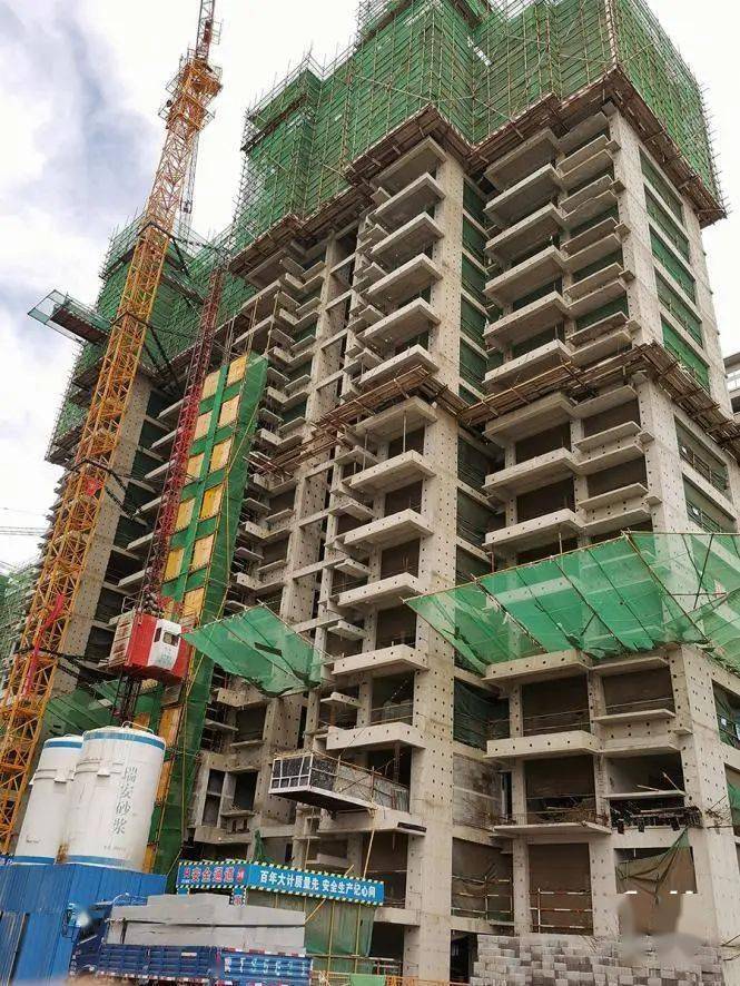 橄榄绿洲和雅工程进度播报秋意浓浓家音共鉴美好
