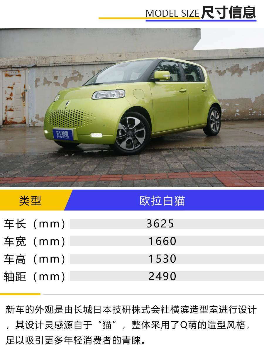 小巧能跑空间大欧拉白猫用车体验
