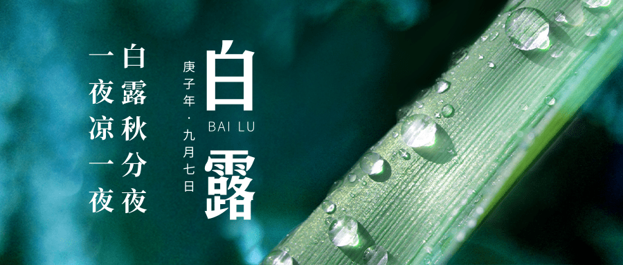 今日白露蒹葭苍苍白露为霜这个节气家长应该注意这些