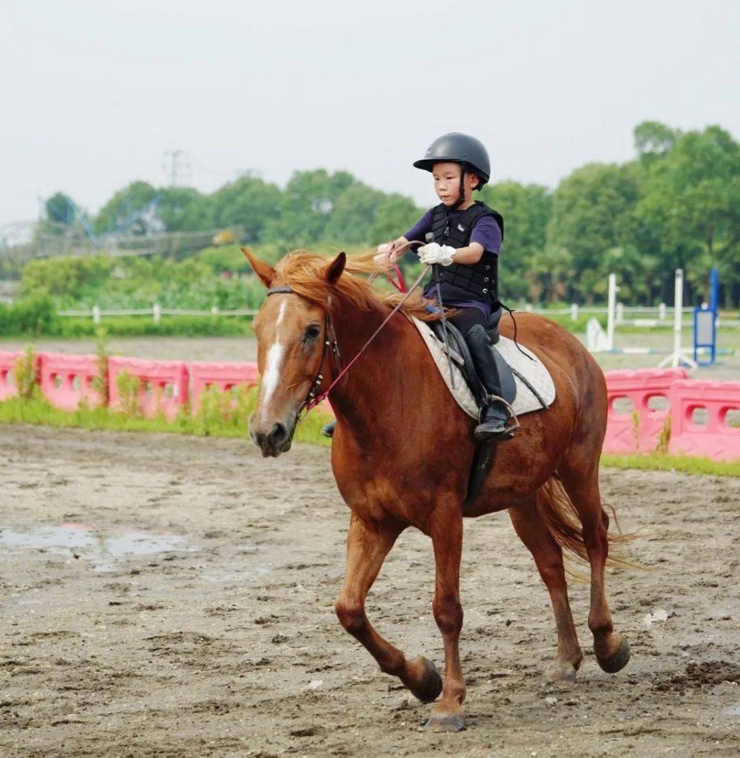 对于骑马,我一直充满信心,觉得教练说的落马是不会发生的.