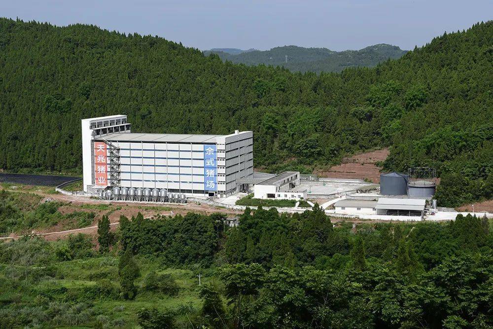 勇攀"猪"峰!"种猪王"天兆猪业畜博会一展风采