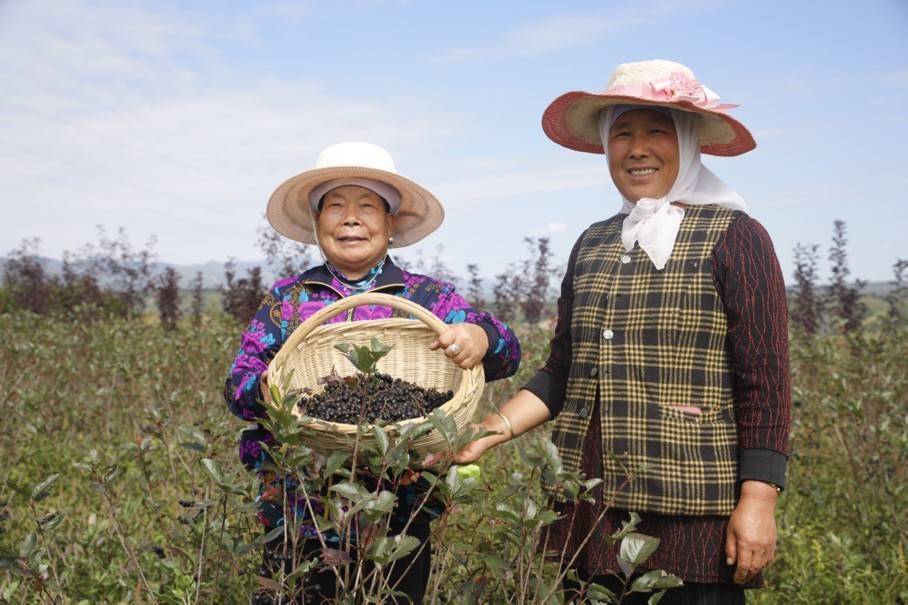 "大道康庄——人民网全媒体调研行"走进宁夏泾源_泾源县
