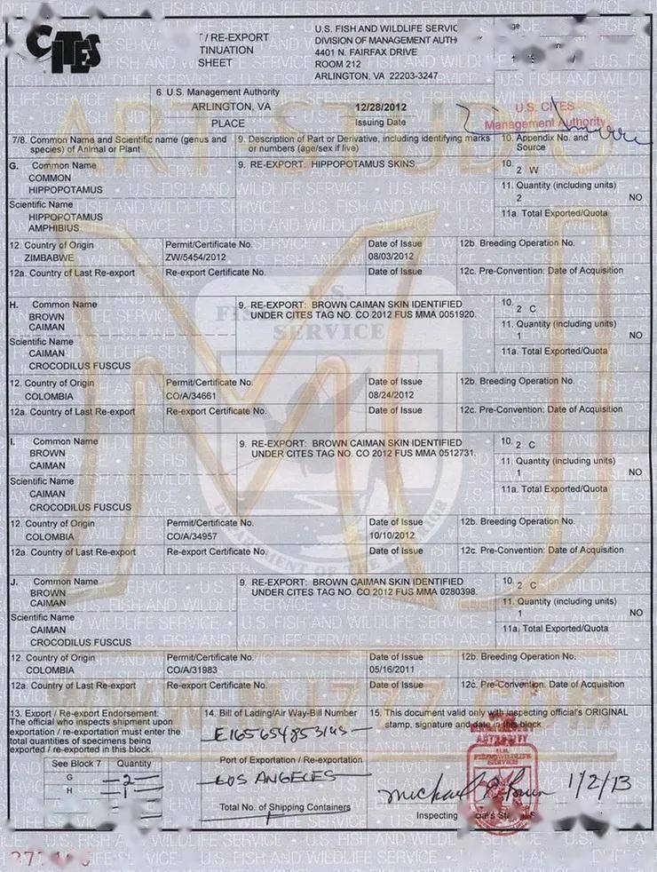 这个鳄鱼皮精品包包并没有澳洲的cites进口许可证.