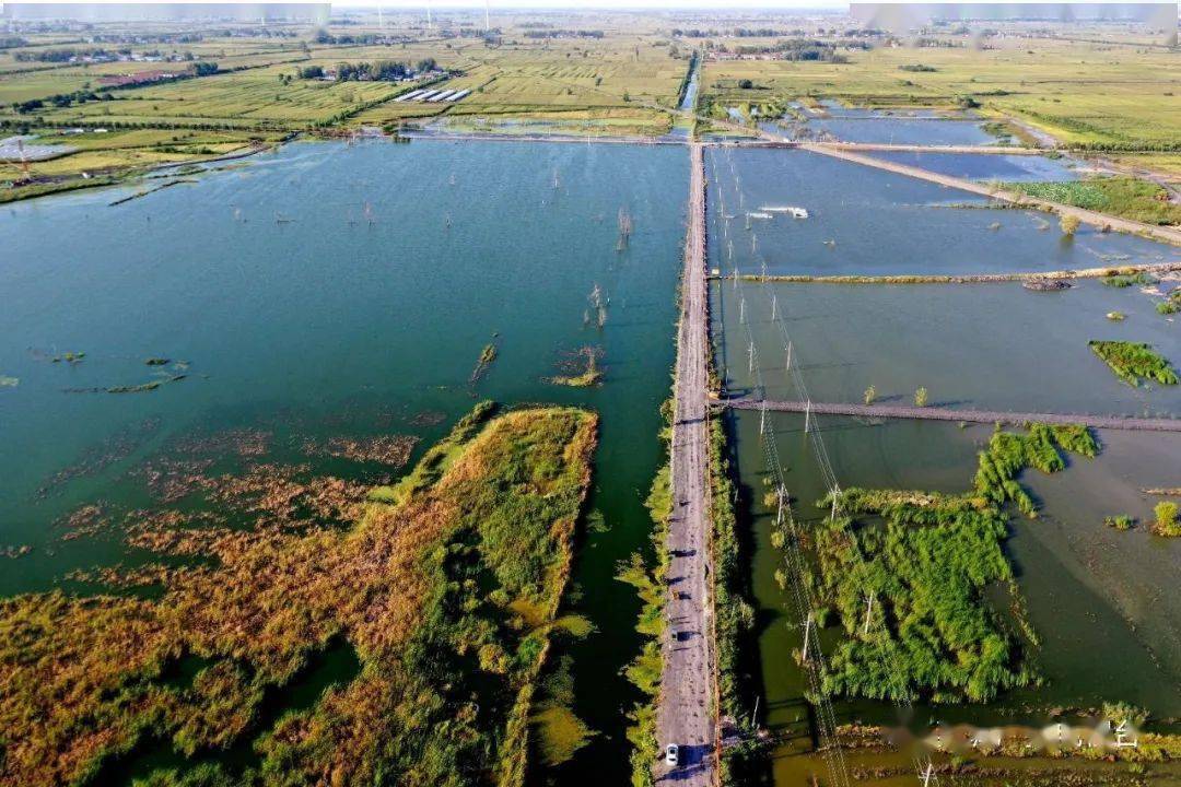 蒙城这个公园,秋景美到爆!_湿地