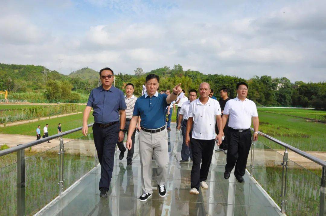 何世恰到龙圩区龙圩镇,新地镇调研项目建设,乡村振兴工作