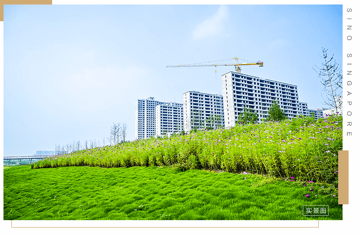 韩仓河生态景观带日渐丰盈_济南市