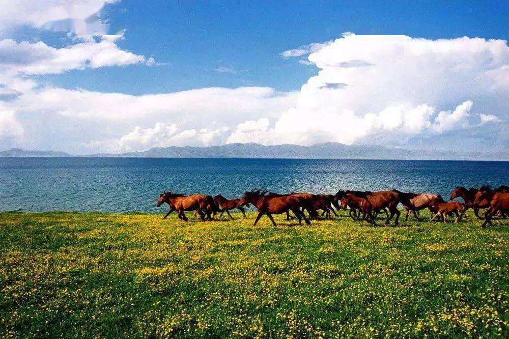 九月的新疆,美得让人沉醉!