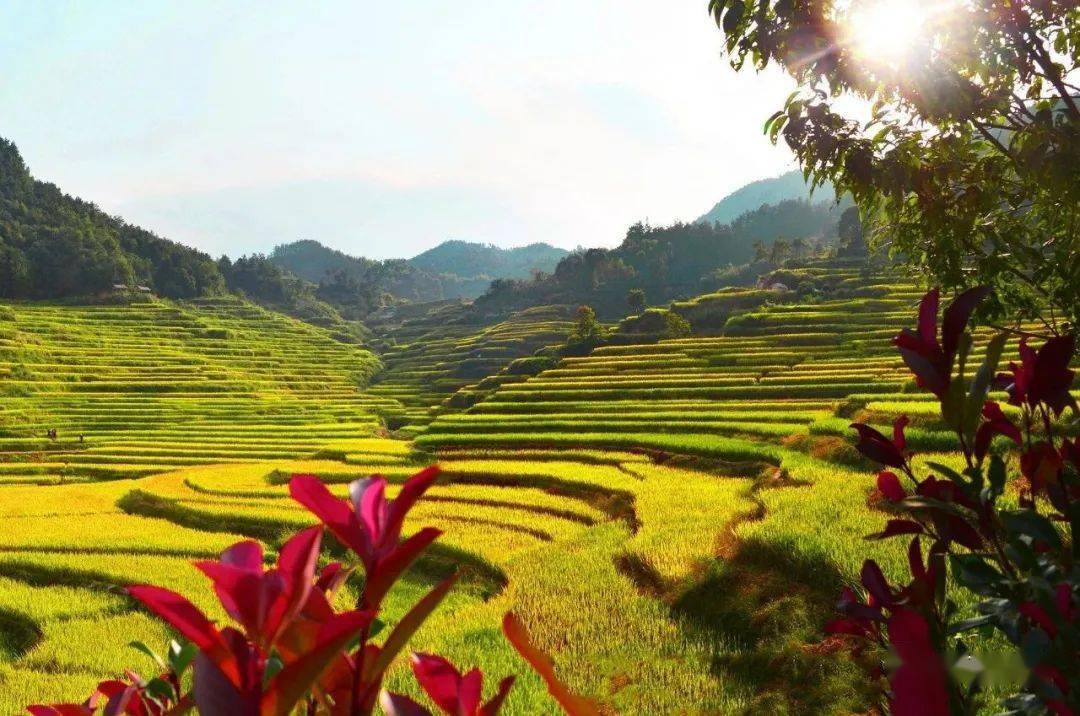 关注叶牡珍从一条弯曲的路穿过匡河镇