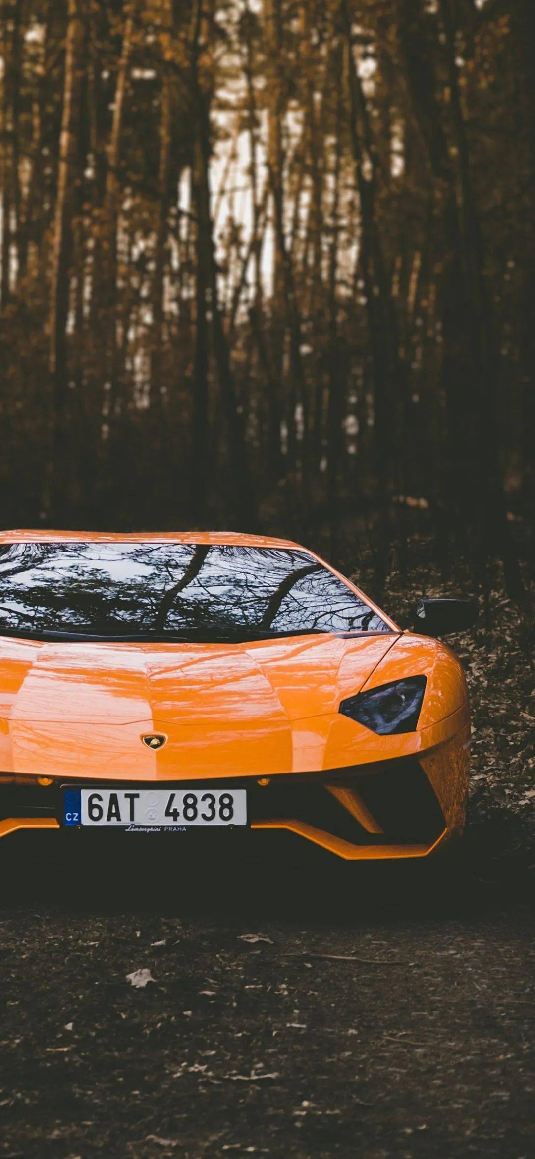 全屏壁纸抖音 | 头像壁纸高清原图