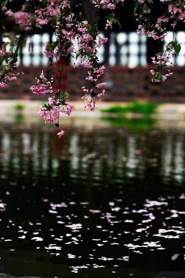 陆游的一阕月上海棠用最美的词牌写最忧伤的情怀