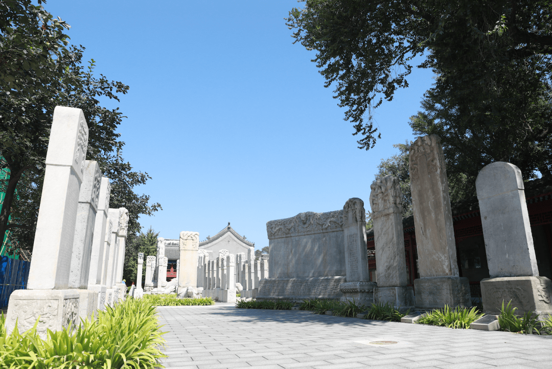 这里都是老灵魂这里都是故事