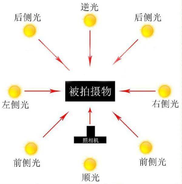 【摄影讲评】顺光、侧光、逆光怎么用 第1268讲？_光线