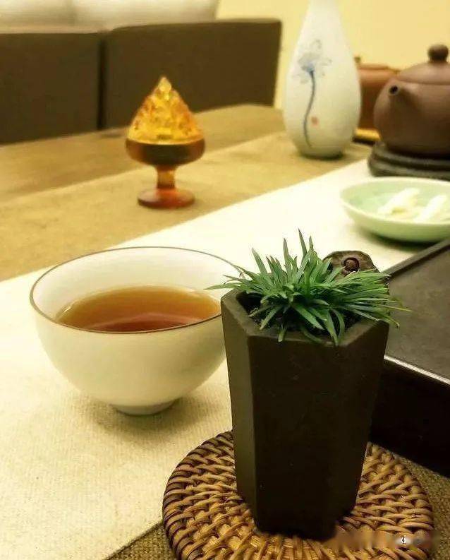 喝茶賞蒲,靜心順氣