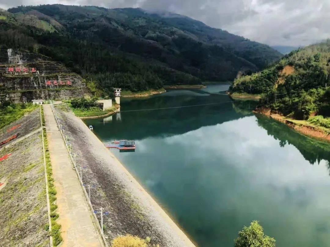 这座茶石共生的古茶山,究竟藏着什么样的秘密?