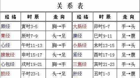 『专家示范』_经络