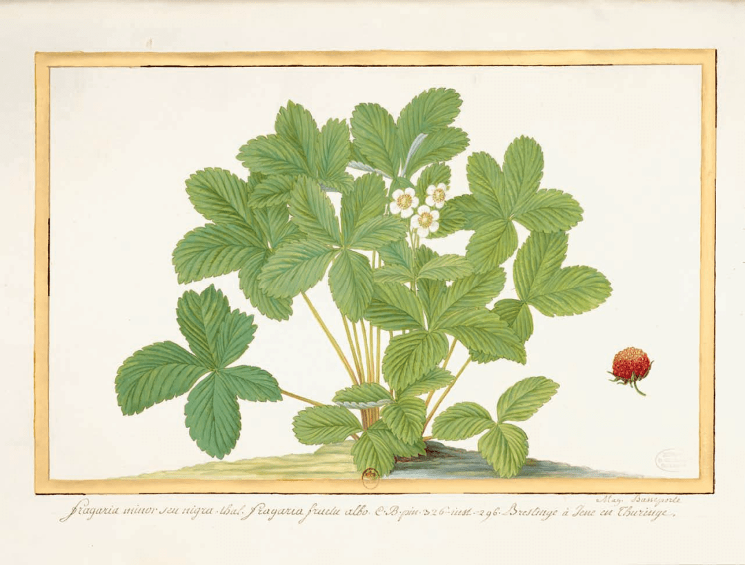 正正经经的自然科学教科书.