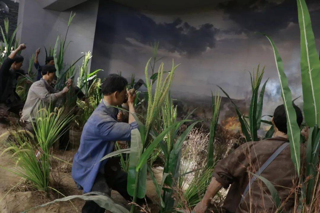 战士们以青纱帐作为隐蔽物,对敌人进行阻击这场面让观众看得热血