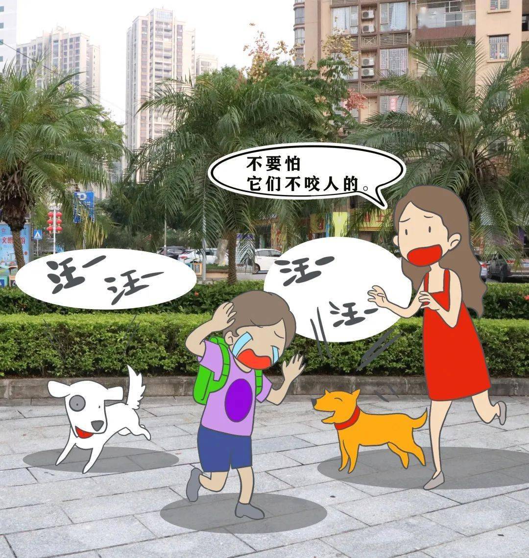 文明养犬:出门遛狗自觉做到三个"一",带好一根绳(遛狗必须牵好绳),一