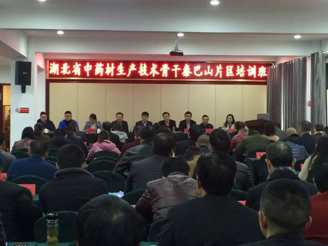 下一步,将深入挖掘本地中医药文化.