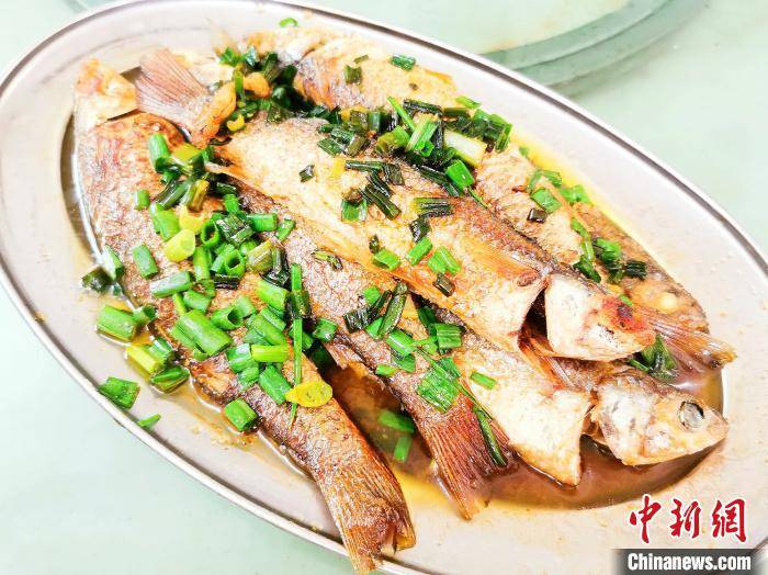 軟鱗 和 蜆魚 廣東僑鄉臺山長著兄弟般容顏的 小銀魚 每日哇新聞