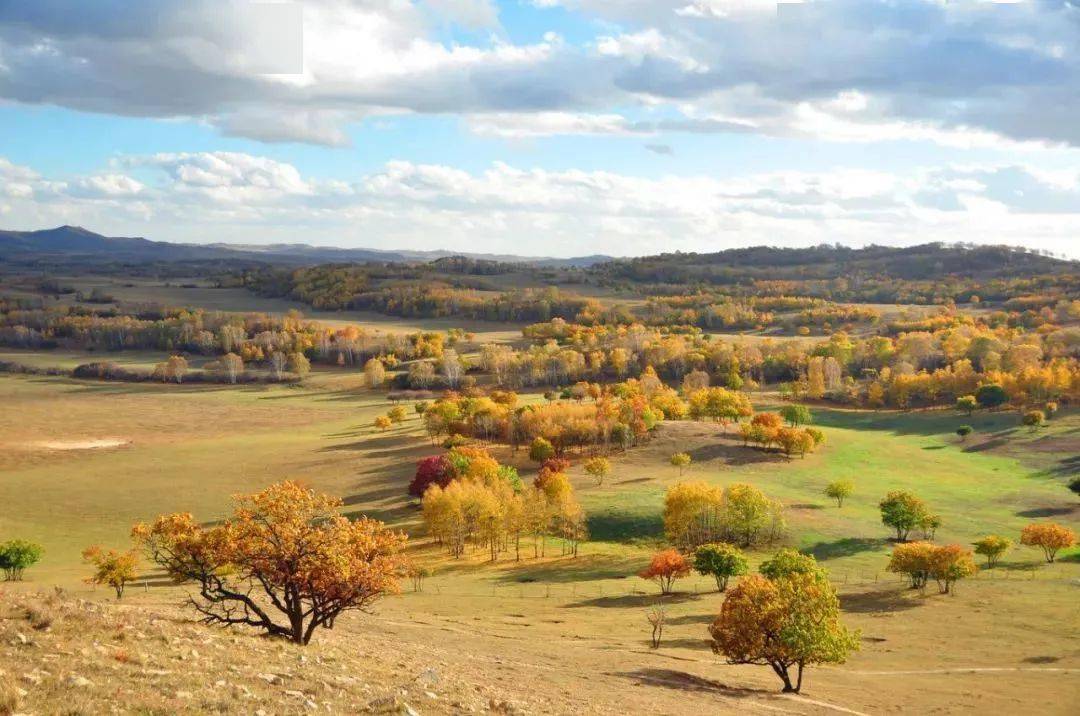 国庆自驾乌兰布统多伦疏林草原九曲十八弯最美秋天童话仅剩2名额