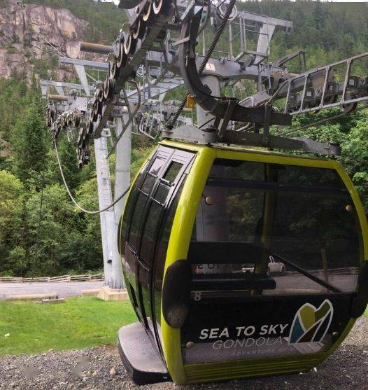 技术安全局总监jeff coleman表示,切断索道是非常危险的行为,不仅缆车