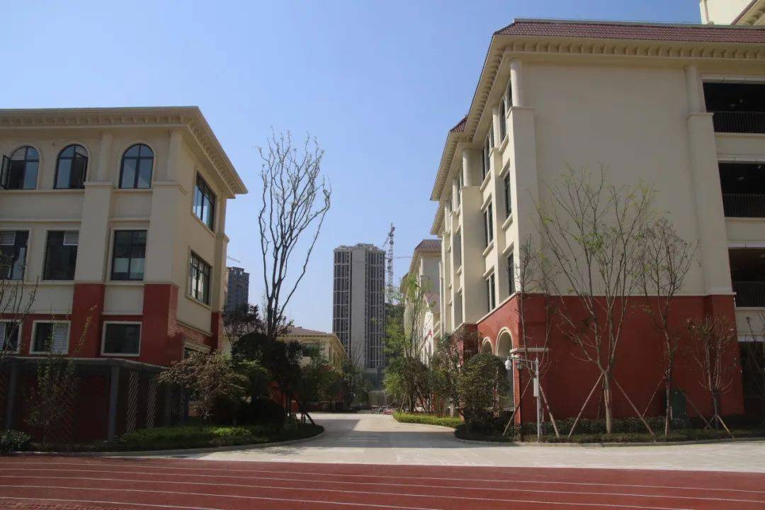 华彩60年 | 向美而生,向美而行,大弯小学北校区逐梦起航