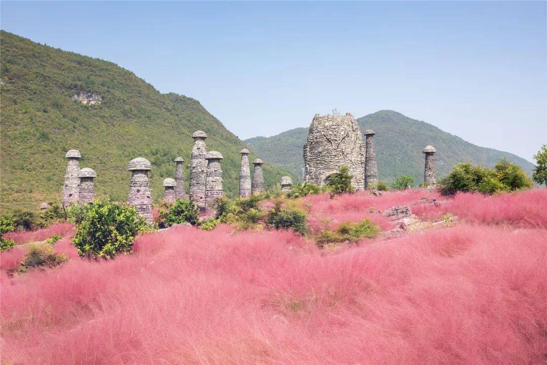 一抹来自酉阳的治愈系粉叠石花谷粉黛旅拍季正式开启