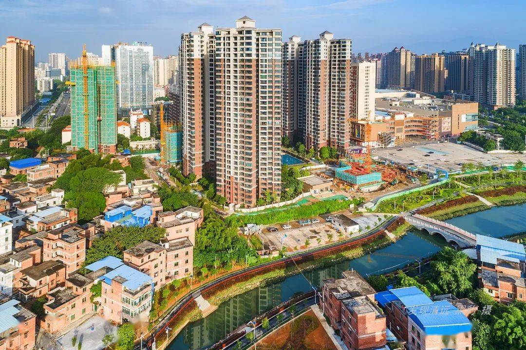 清远市区3公里紫狼尾草美成了浪漫的诗您竟然不知道