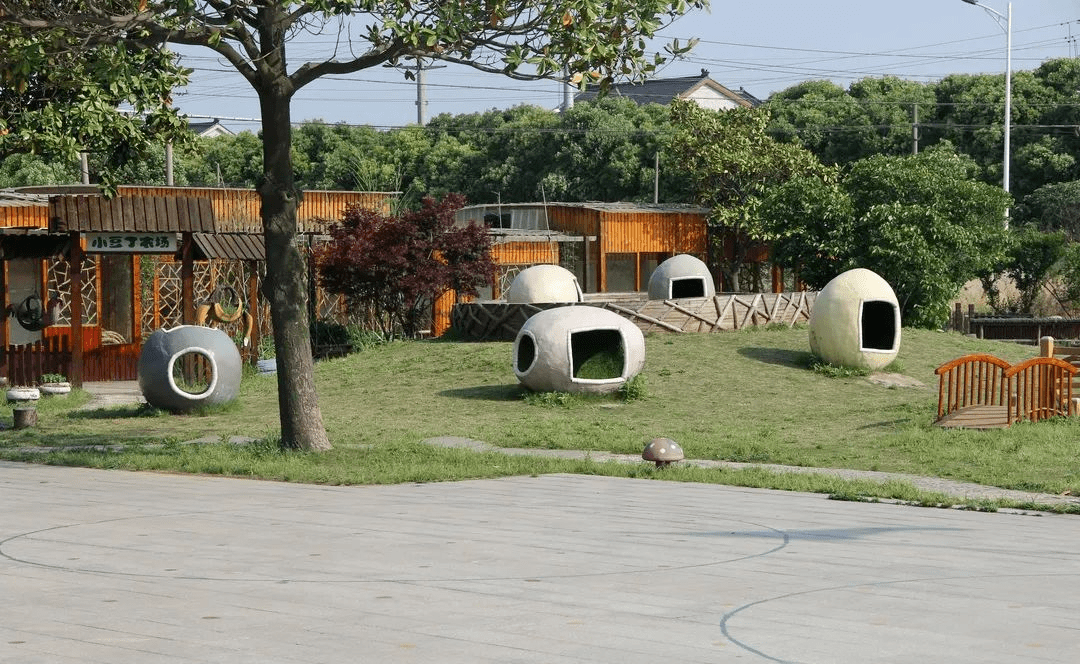 张斌:资源造就更具活力的幼儿园课程 | wpef · 新视角