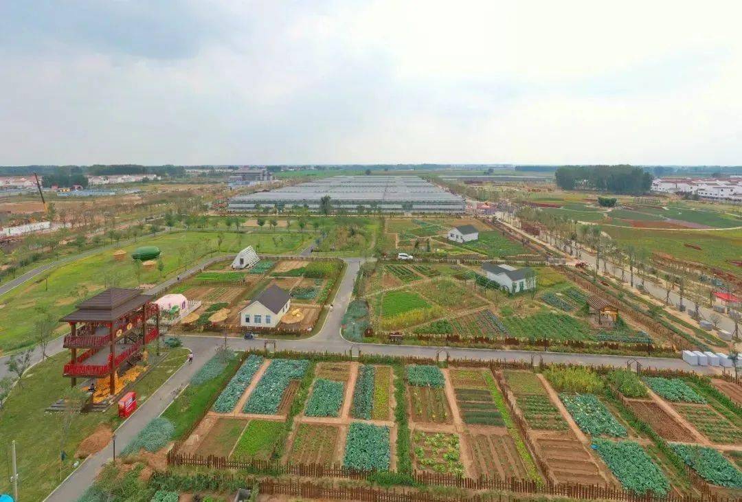 工人们正保质保量加紧布置,在主会场祥符区西姜寨乡西姜寨村,河南省主