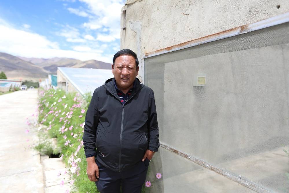 幸福花开新边疆西藏隆子县拿稳菜篮子脱贫有了新路子