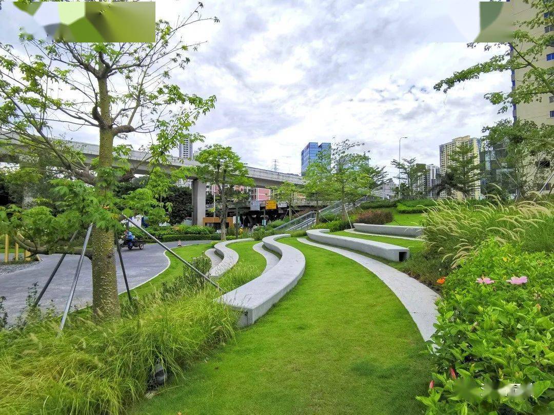 深圳园林罗湖区三横四纵道路沿线视觉一体化文锦北路景观提升