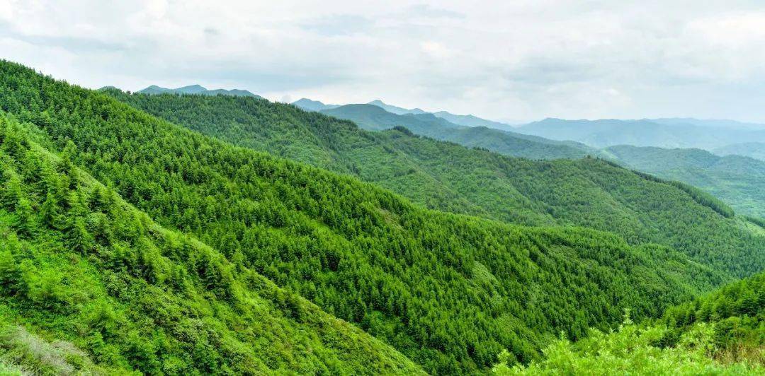 人不负青山 青山定不负人—自治区建设黄河流域生态保护和高质量