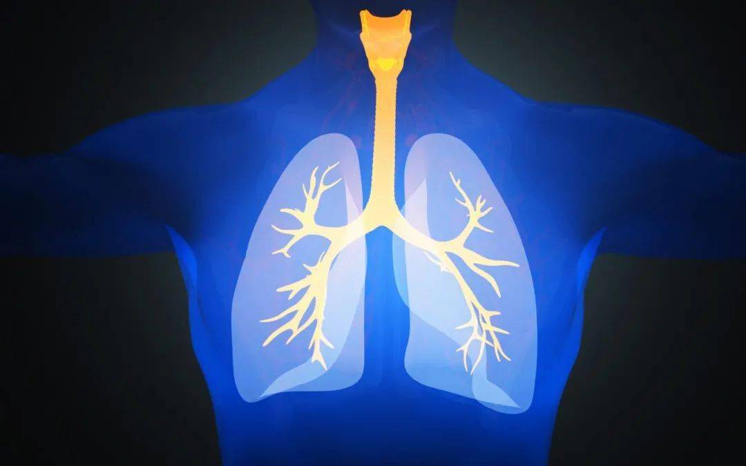 自由呼吸的感觉真好支气管镜球囊扩张术巧解气道狭窄