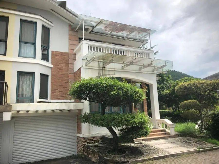 丽水一600万豪宅被拍卖起拍价惊人