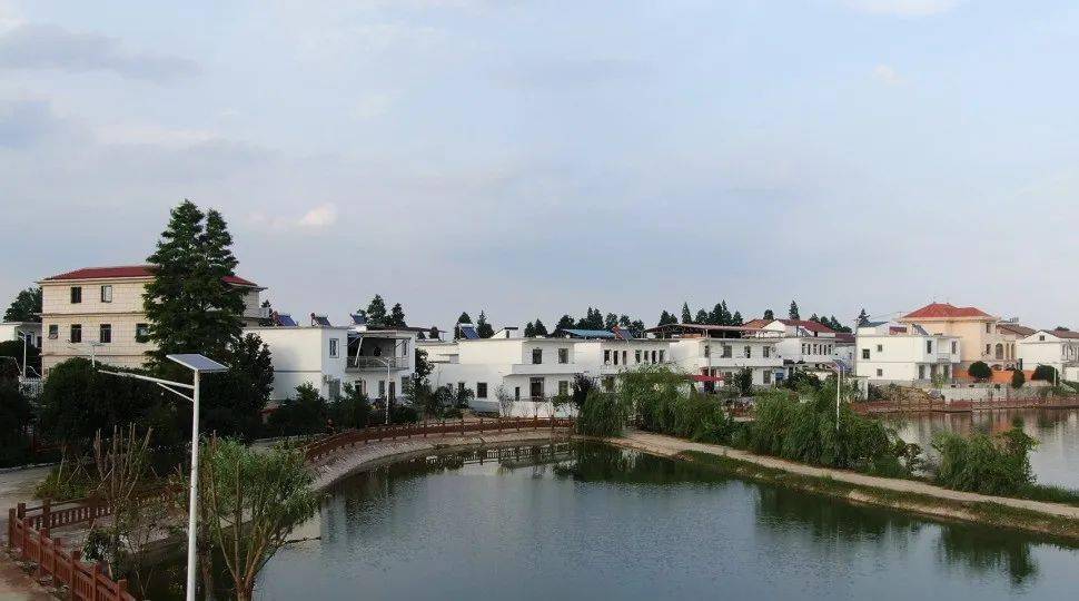 南新乡:干群齐上阵 助力农村人居环境整治