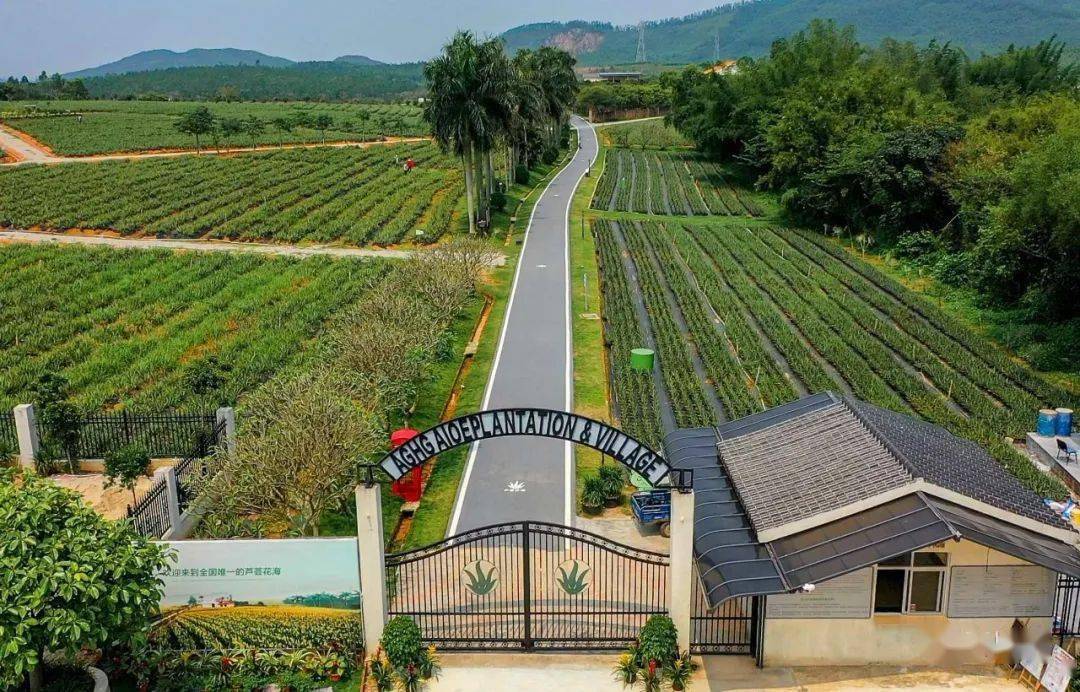 台山四九镇越来越靓未来还将发生更大变化