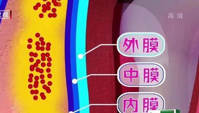 希望你一个都没经历过~_血管