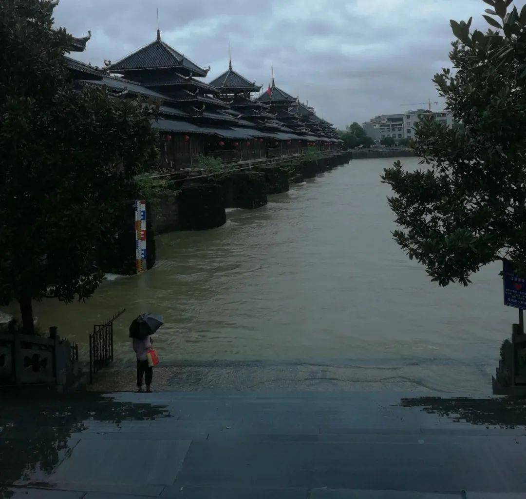 芷江舞水河涨水了