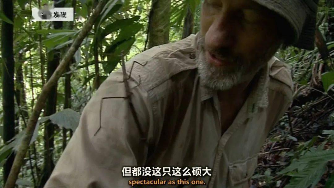 图说纪录片生命博物馆4