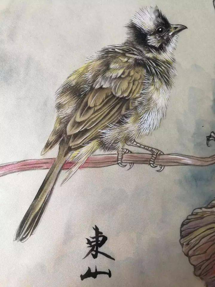 陈东山工笔花鸟欣赏这手法让人钦佩