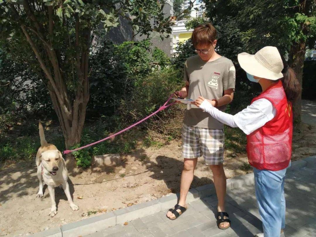 条例专栏中北镇华亭佳园社区开展文明养犬宣传倡导活动