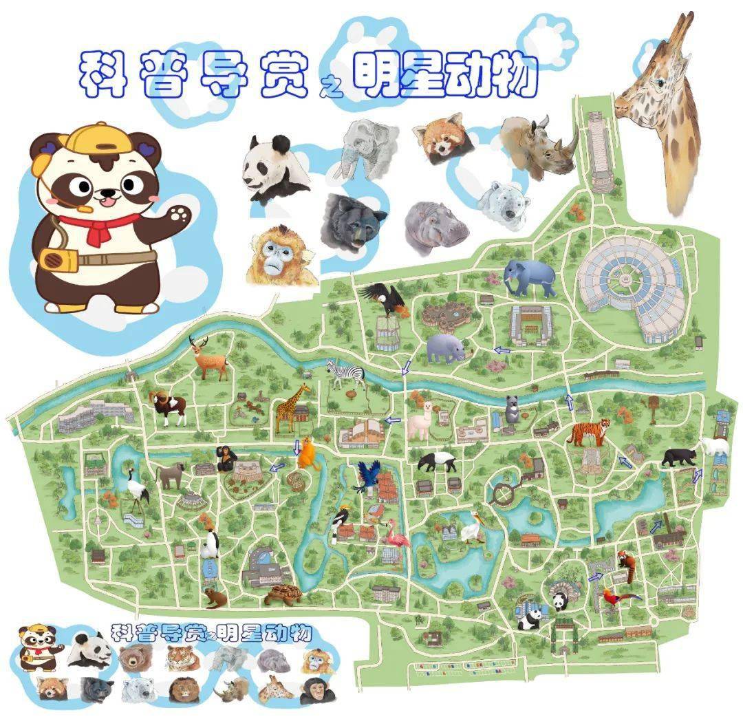 北京动物园示意图图片