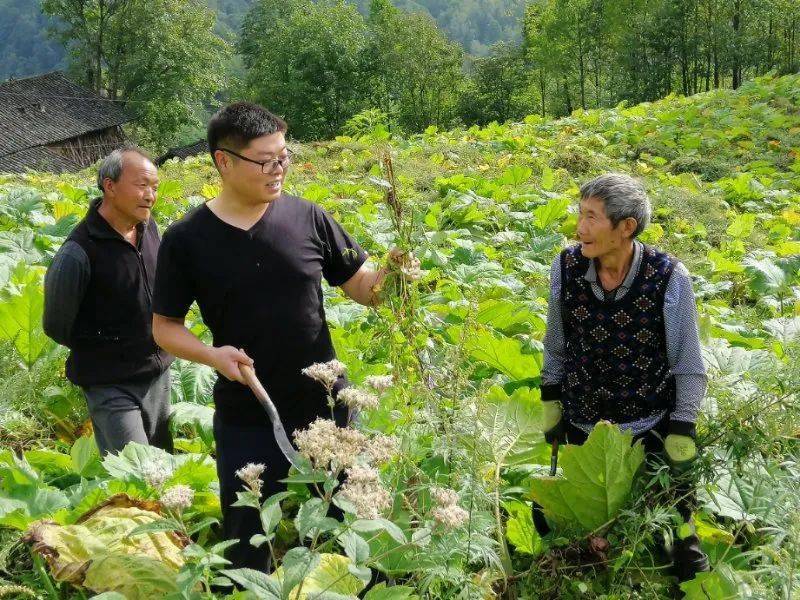 第一书记风采毛坝河镇张家山村第一书记冯宁这个书记和别人不一样