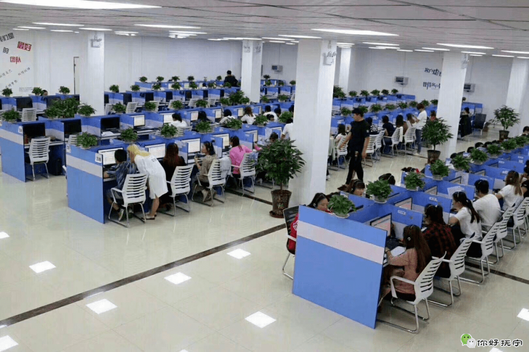 抚宁区招聘办公室工作人员月薪高至6000上五险