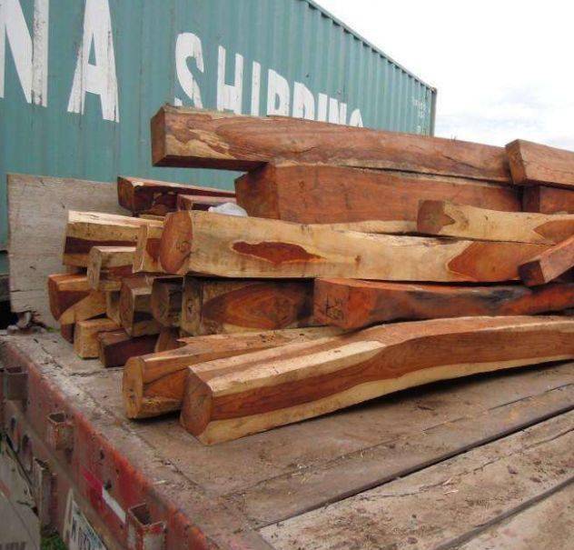 大红酸枝,黑酸枝,白酸枝……14种酸枝木的特征与鉴别