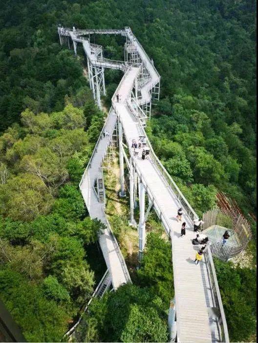 延安市黄龙县︱￥299享树顶漫步胶囊酒店套餐:2大1小胶囊住宿 早餐 树