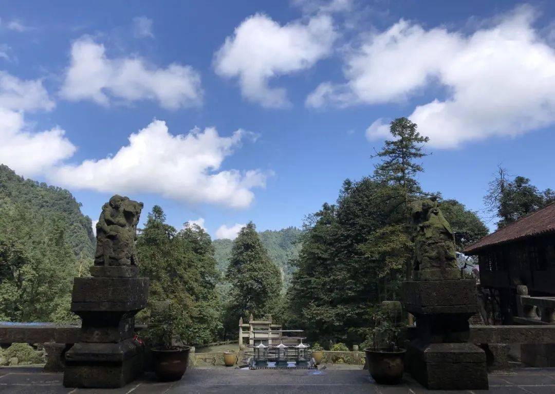 仙峰寺灵猴是峨眉山众多猴群中的一支,可能因为常年盘居在寺院的原因