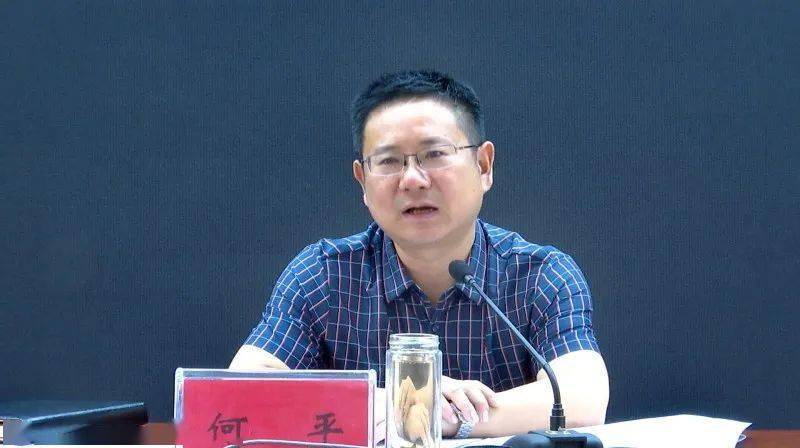 钟祥市强化软弱涣散村整顿提升治理能力 促进乡村振兴_何平